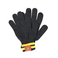 SCL Tigers Handschuhe 